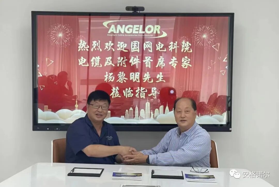 国网电科院电缆及附件首席专家杨黎明教授莅临安格诺尔考察指导